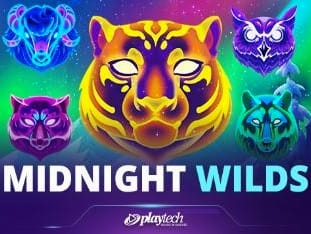Midnight Wilds game thumbnail